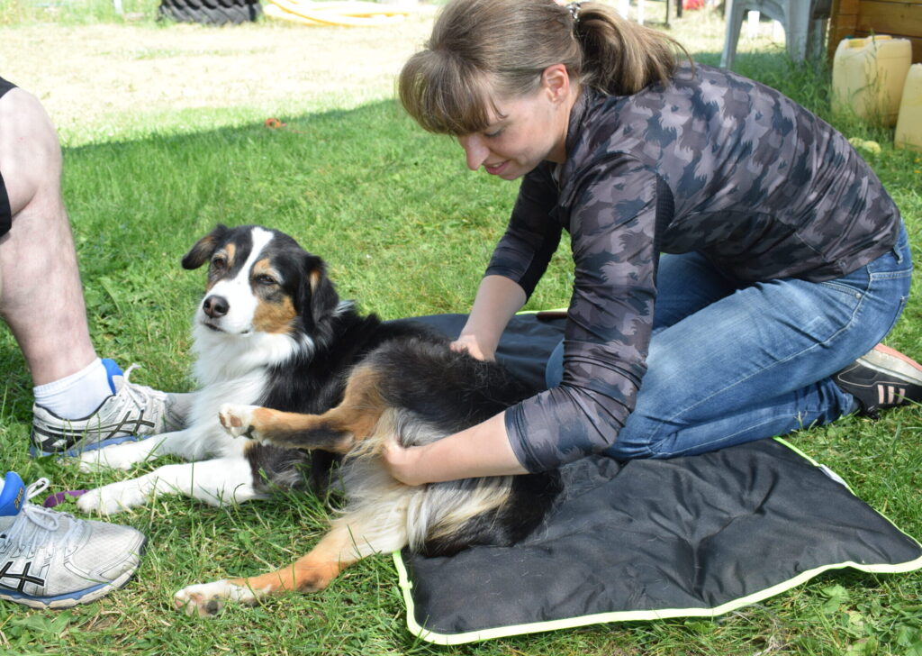 tierphysiotherapie