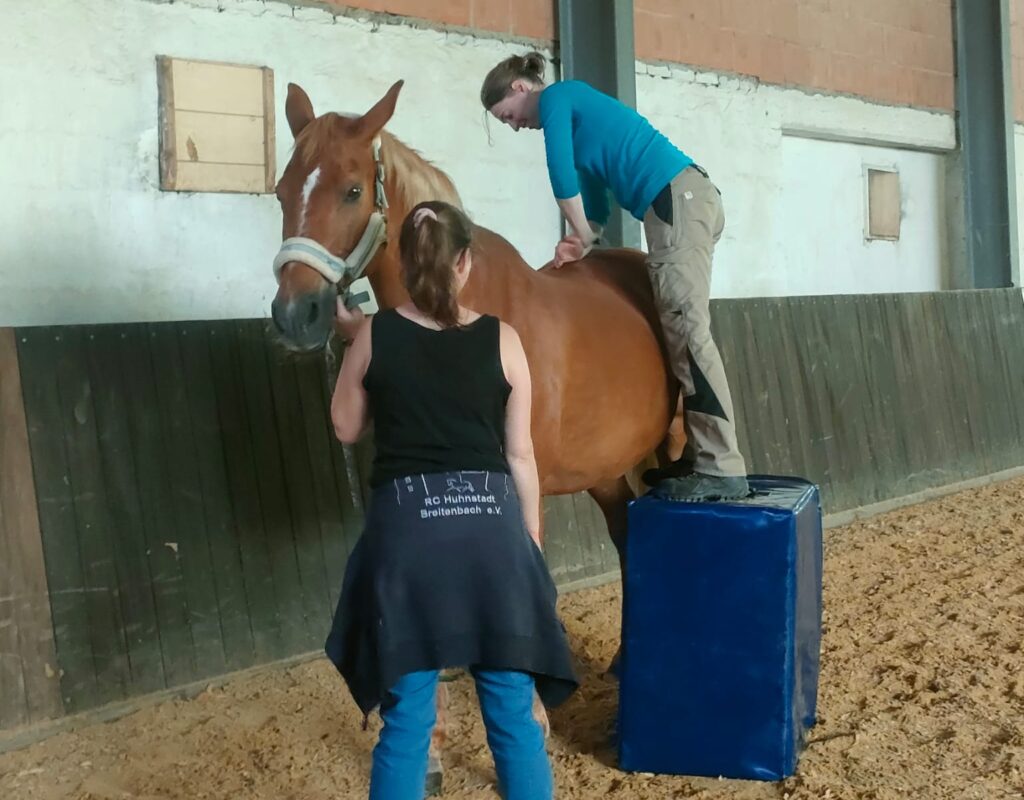 Tierphysio Hessen