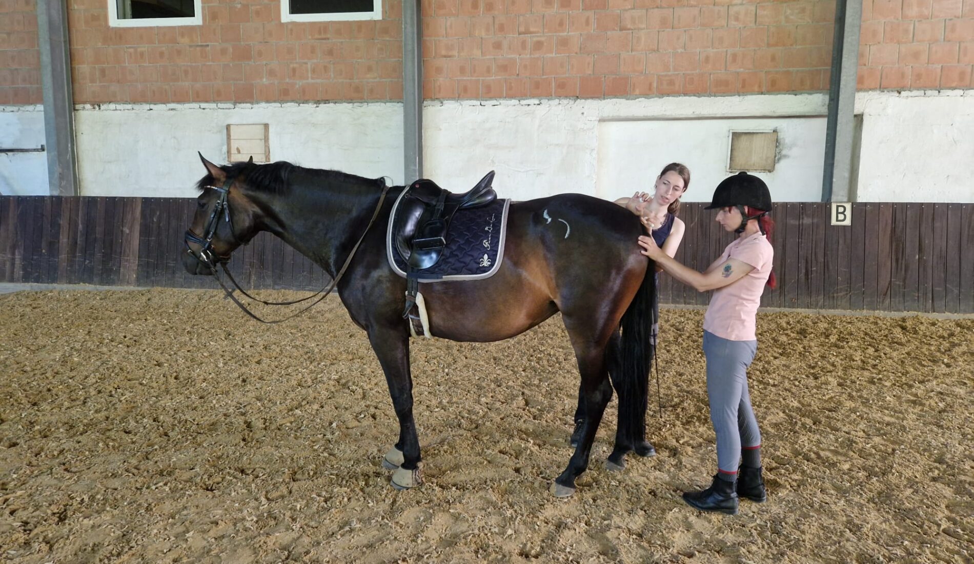 Physio-Check-Up