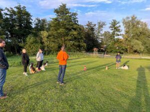 Blickschule Hund Workshop TierDa