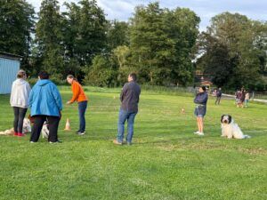 Blickschule Hund Workshop TierDa