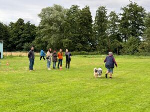 Blickschule Hund Workshop TierDa