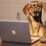 Hund Workshop Lernen