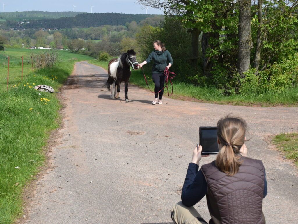 tierphysiotherapie