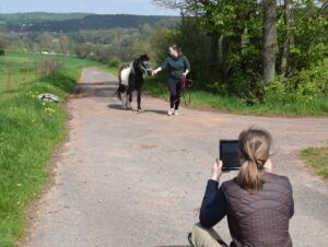 tierphysiotherapie