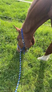 Stoffwechsel – was Du wissen musst!