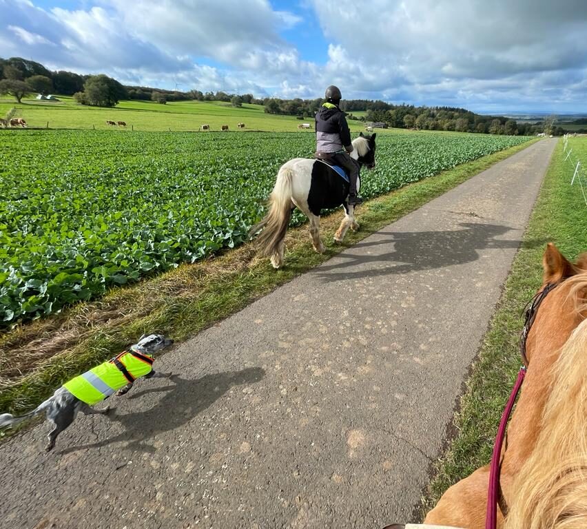 Ciri Erfahrungsbericht