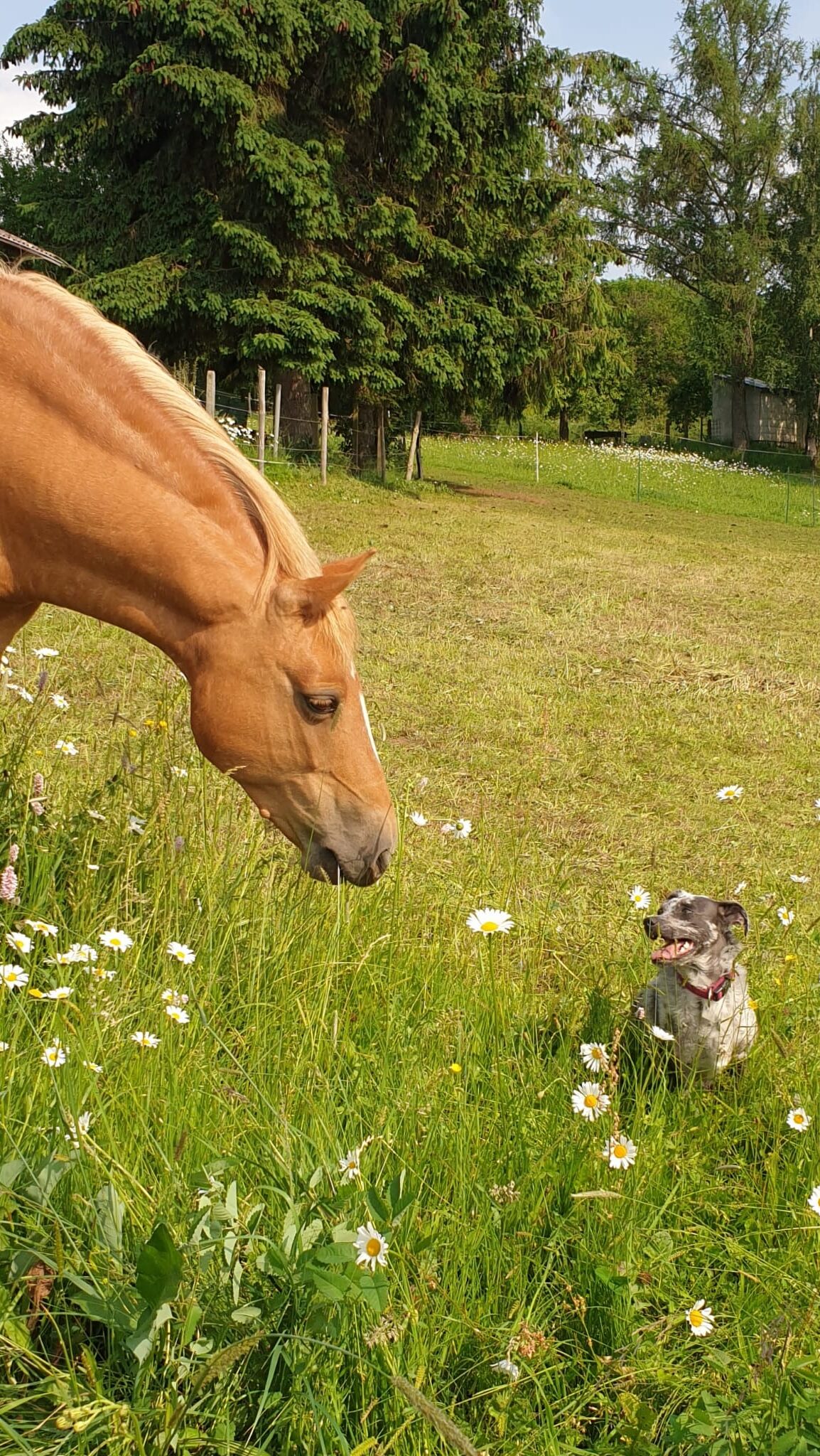 Ciri Erfahrungsbericht