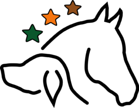 TierDa Logo