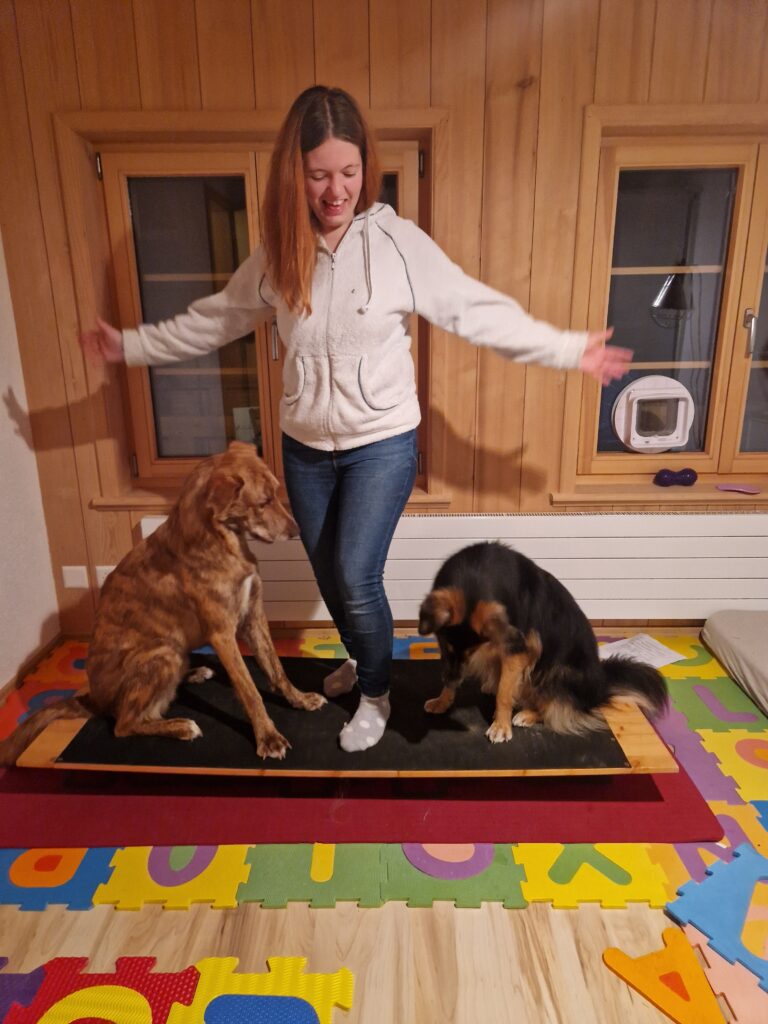 Hundefitness Trainingsplanung