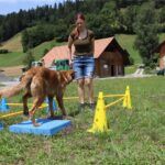 Hunde Fitness Training Trainingsplanung