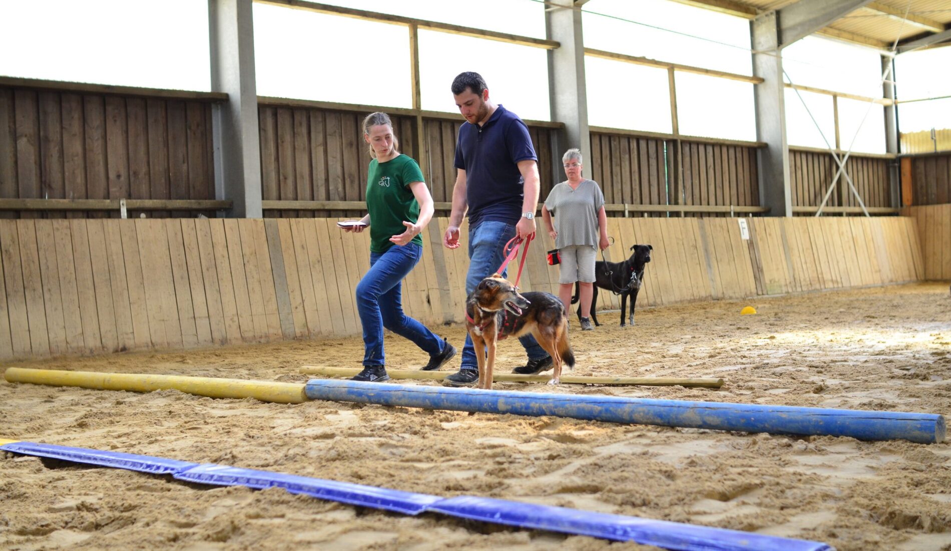 Starker Rücken Workshop TierDa