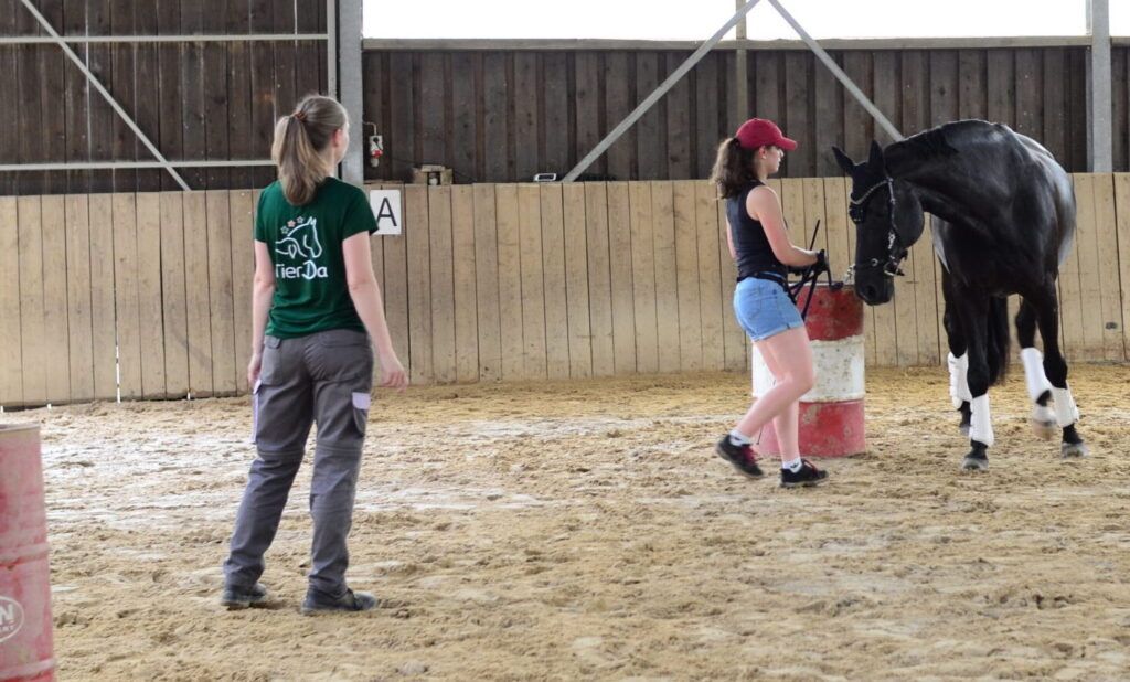 Tierphysiotherapie Chiropraktik Workshops TierDa