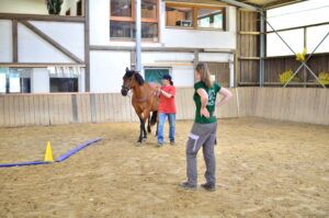 Starker Rücken Workshop TierDa