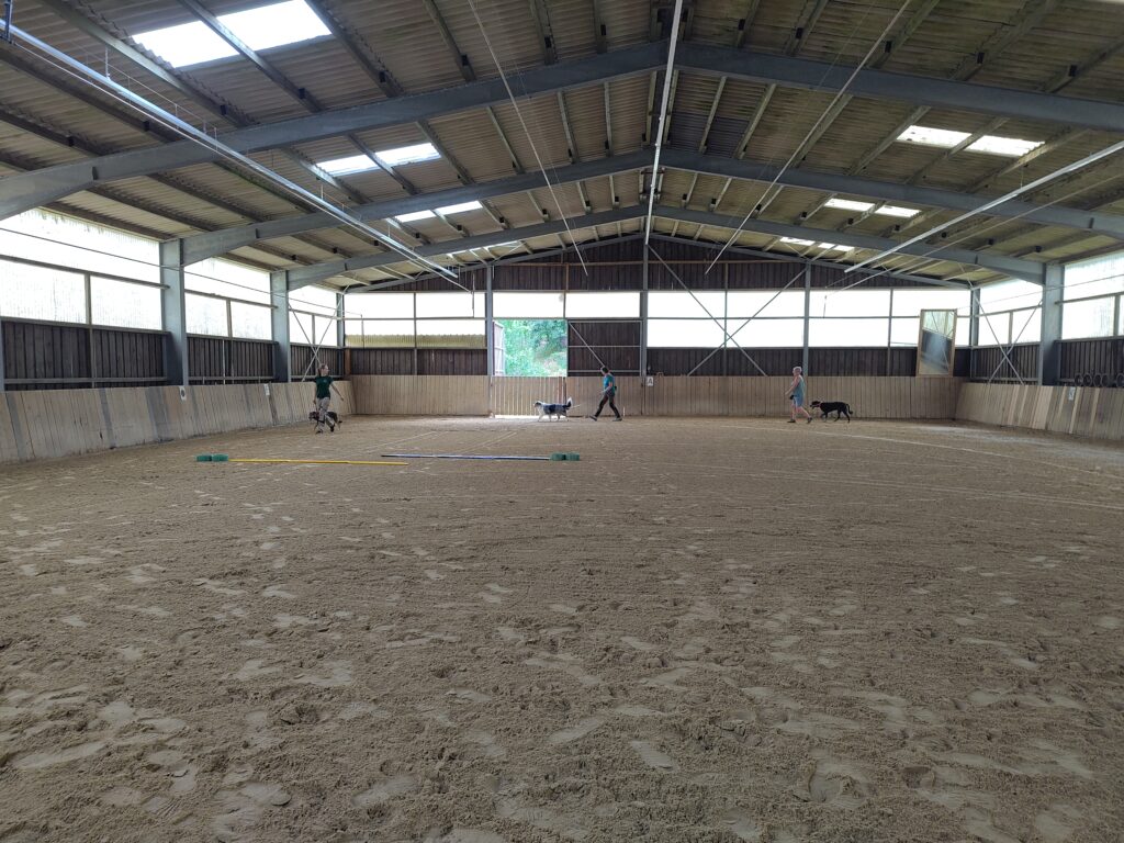 Rücken-Fit Kurs für Hund und Pferd