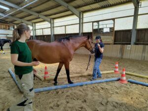 Starker Rücken Workshop TierDa