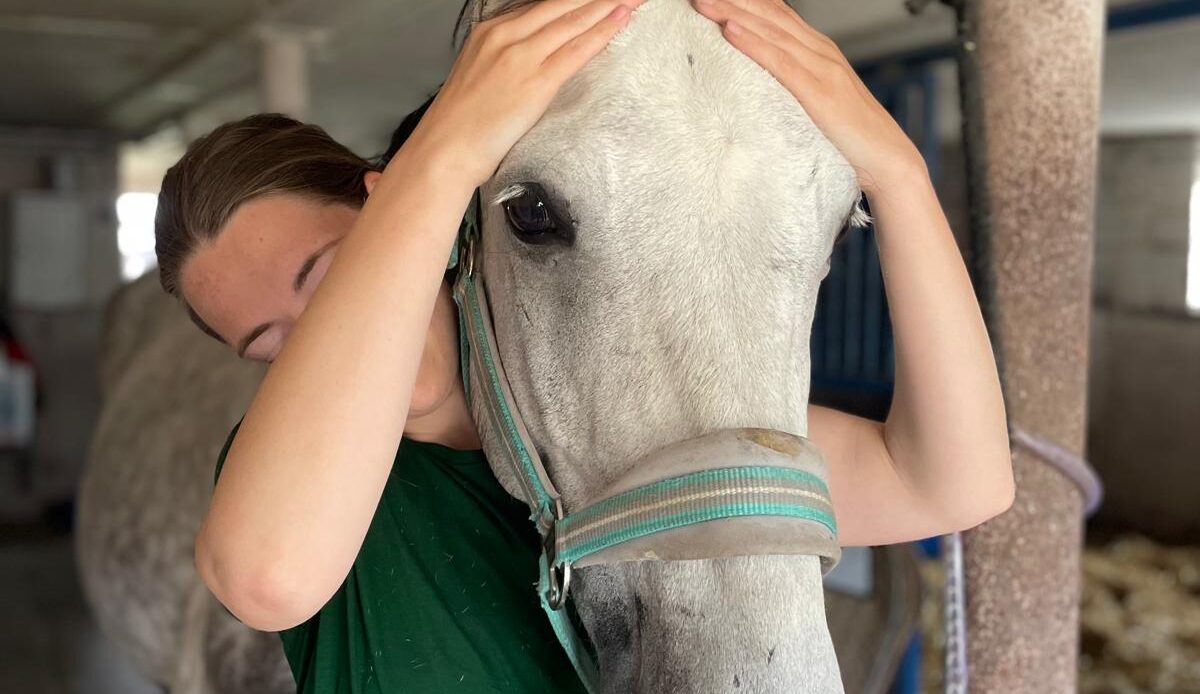 Massage, Cranio-Sakraltherapie, Entspannung, Pferd