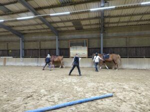 Aktiver Rücken Workshop TierDa