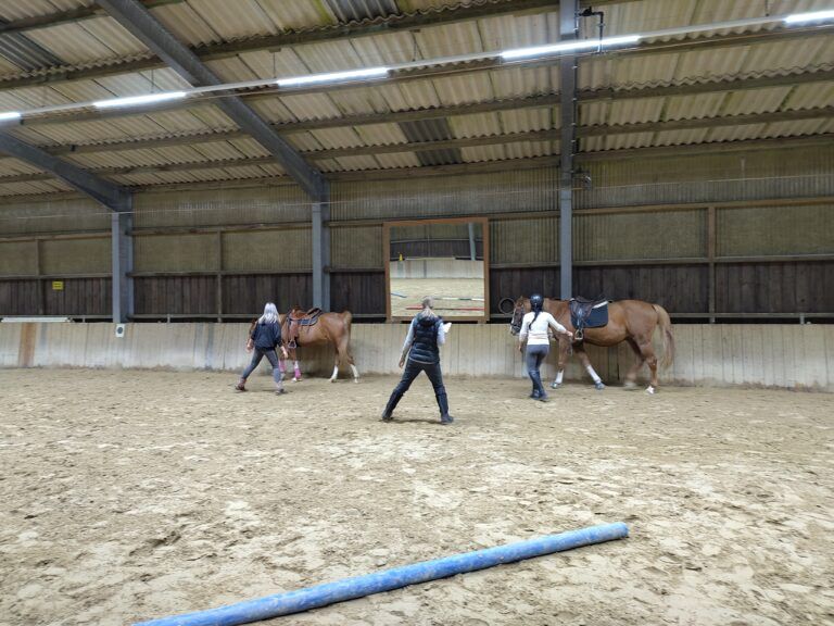 Aktiver Rücken Workshop TierDa