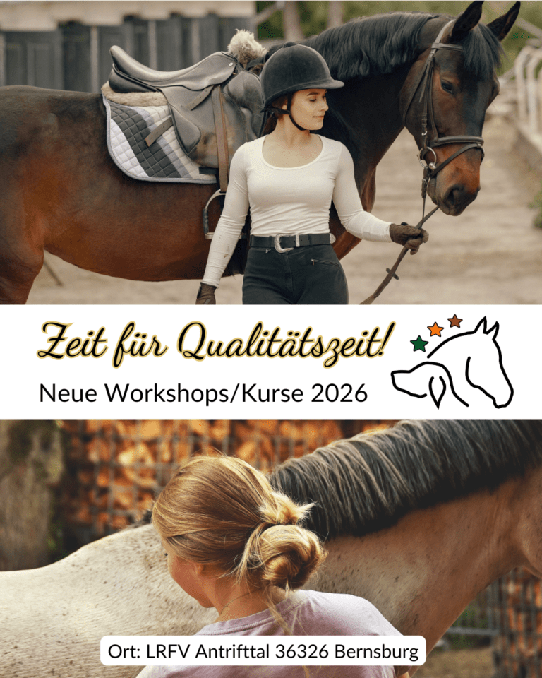 Kurse & Workhops 2026